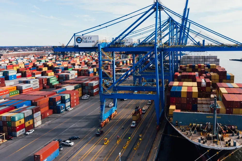 Direct trade modeli, aracıları ortadan kaldırarak çiftçiden doğrudan kahve alımını ifade eder. Haldia Coffee olarak, yeni hasat yeşil çekirdekleri doğrudan ithal edip kavuruyor ve en taze haliyle sizlere ulaştırıyoruz.
