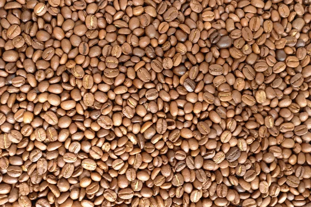 Single Origin Ne Demektir? Neden Önemlidir?