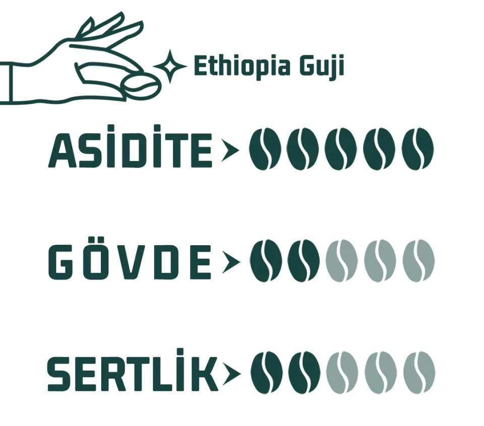 Haldia Ethiopia Guji Yöresel Kahve
