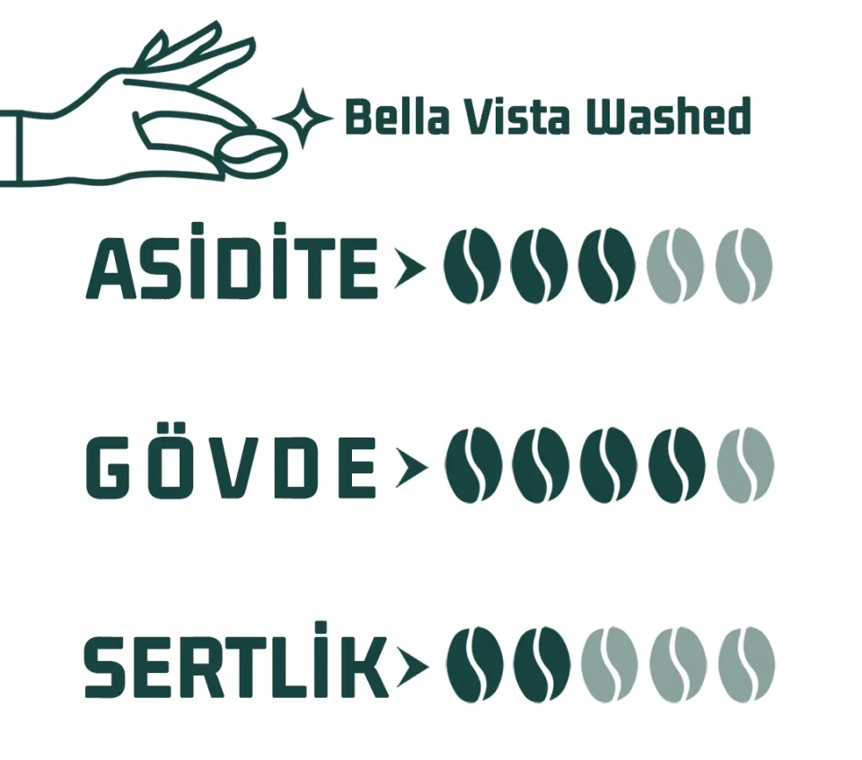 Haldia Bella Vista Washed Nitelikli Kahve 250gr.