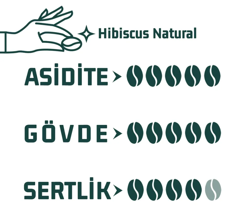 Haldia Hibiscus Natural Nitelikli Kahve 250gr.