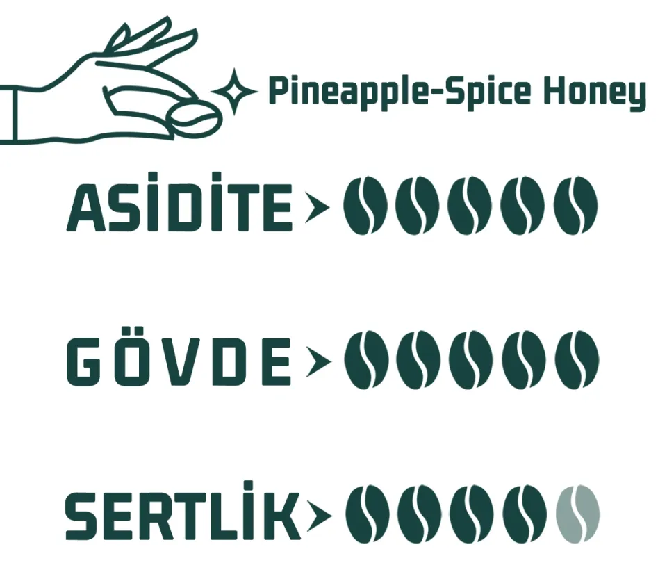 Haldia Pineapple Spice Honey Nitelikli Kahve 250gr.
