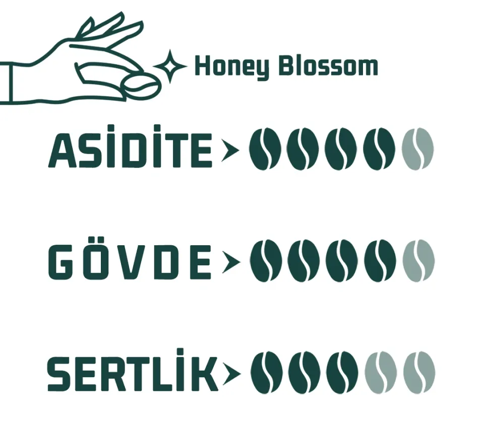 Haldia 6x100gr Nitelikli Kahve Tadım Seti