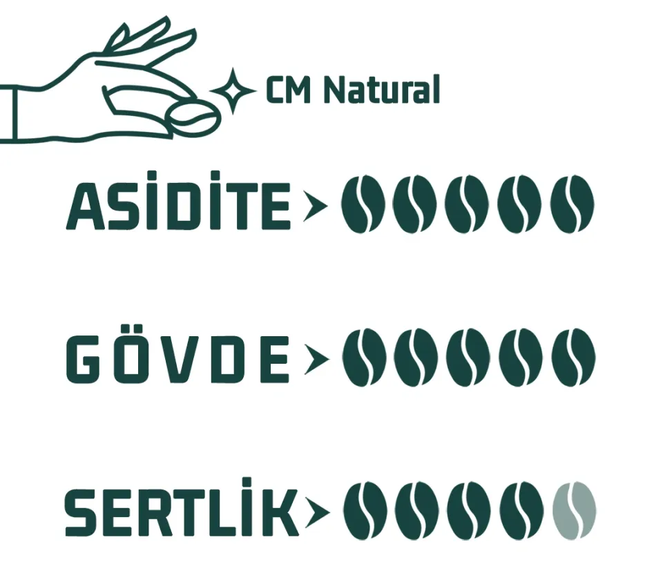 Haldia 6x100gr Nitelikli Kahve Tadım Seti